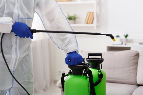 Disinfection Best Practices for Modern Workplaces